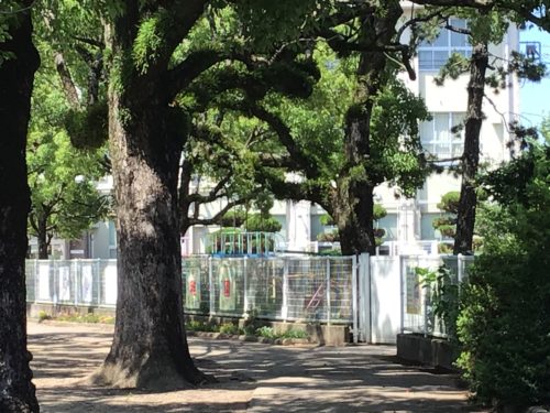 和歌山市立西和佐幼稚園1137ｍ(周辺)