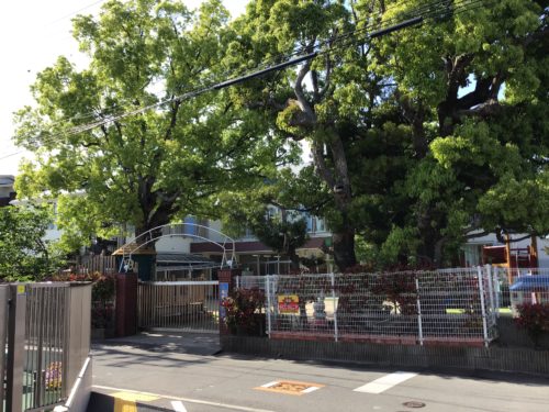 名草幼稚園1375m(周辺) 名草幼稚園1375m(周辺)