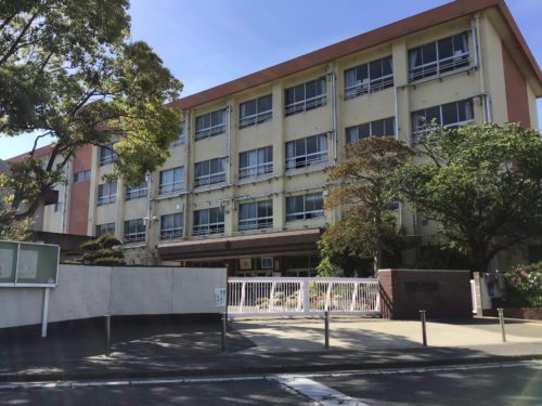 浜宮小学校　537m(周辺)