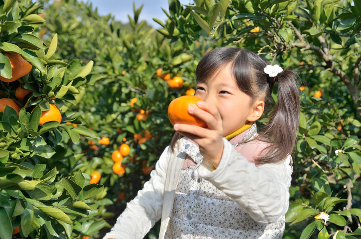 秋津野ガルテン