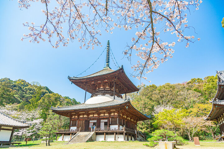 日本の寺院建築