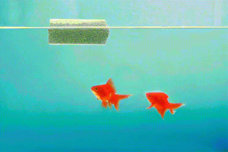 パワーボード断面