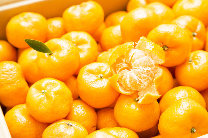 みかんの産直販売のイメージ