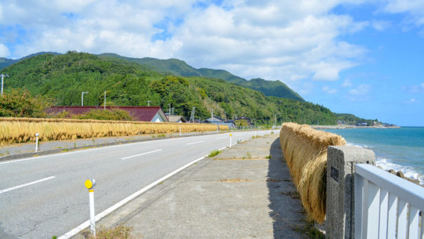 3月の和歌山ドライブで行きたい！潮風が心地よいおすすめスポット5選
