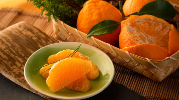 3月の産直市場は春爛漫〜和歌山が誇る春みかんとデコポンが食べられるスポットを紹介！