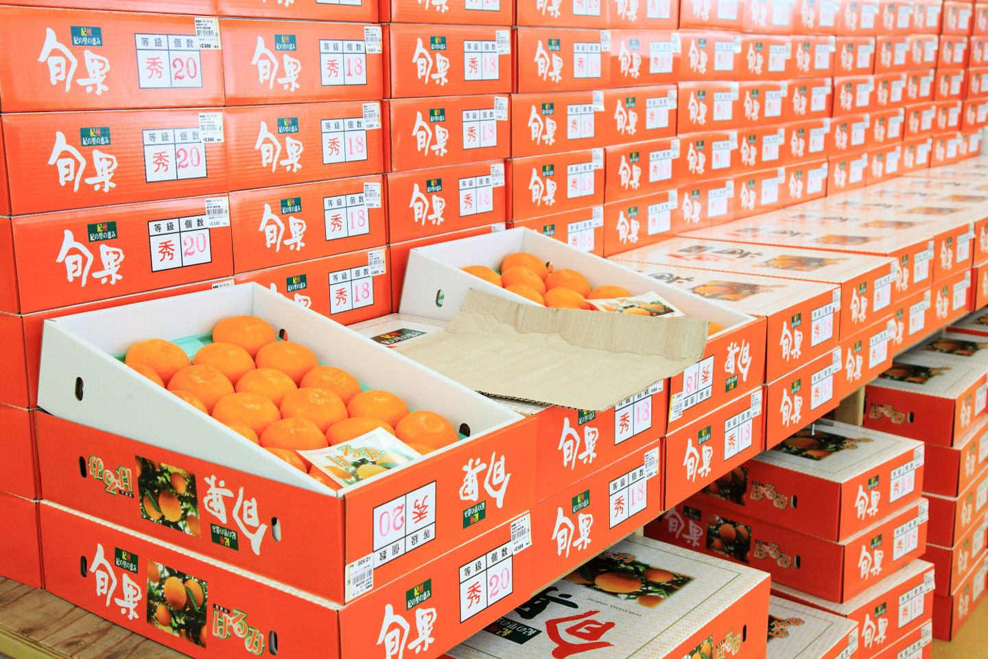 新鮮な野菜と果物が並ぶ産直市場