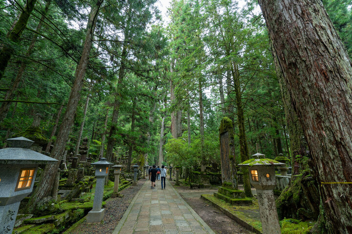 奥之院の杉並木の参道