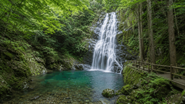 8月の和歌山を全力で楽しむ「涼＆旬」の体験観光ガイド