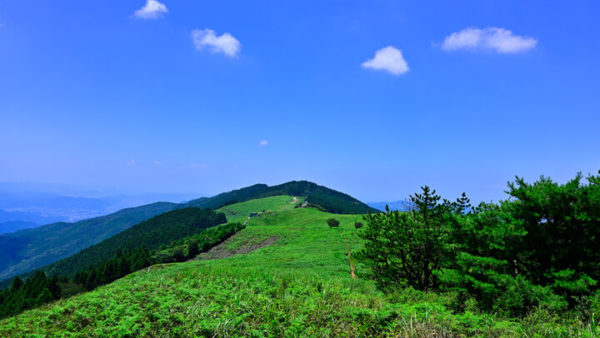 【和歌山】夏の終わりに訪れたい大人の避暑＆絶景ガイド