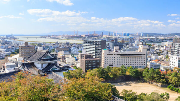 【2026年最新】9月に楽しむ和歌山！いま行くべき旬のスポット＆イベントBEST5